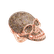 Prsten s bílými a hnědými diamanty Diamond Skull2