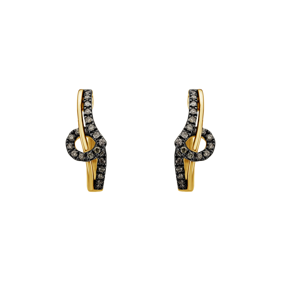 Náušnice s diamanty Shine Melody