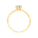 Prsten s diamantem Eternal Joy4