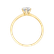 Prsten s diamantem Eternal Joy4