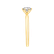 Prsten s diamantem Eternal Joy3